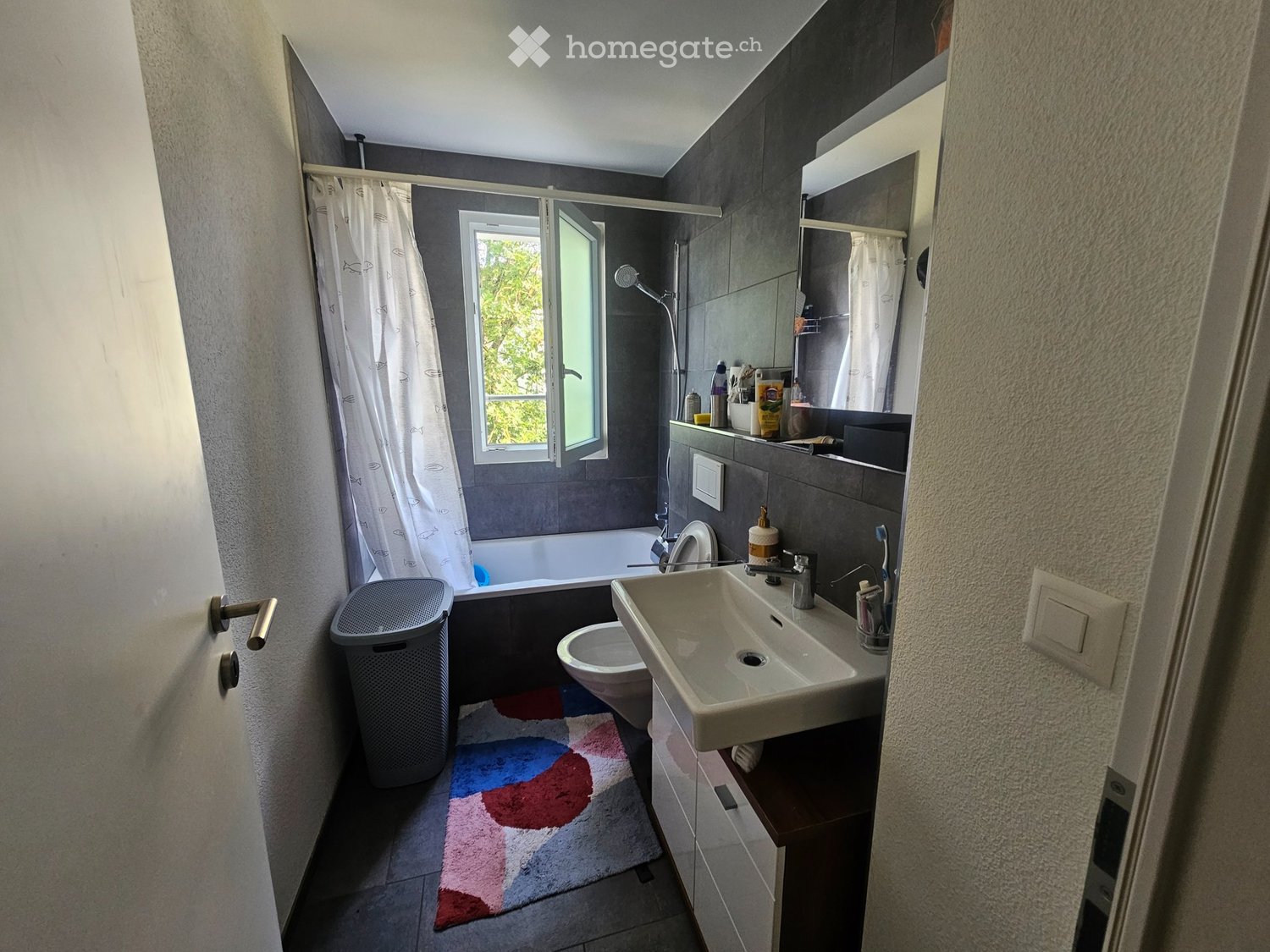 1 room single room