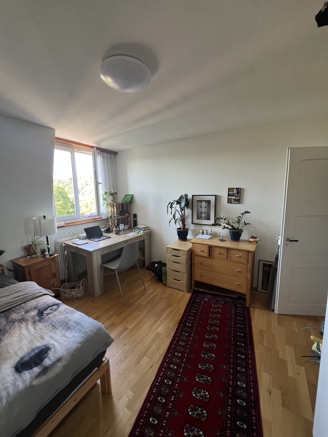 Room in a shared flat