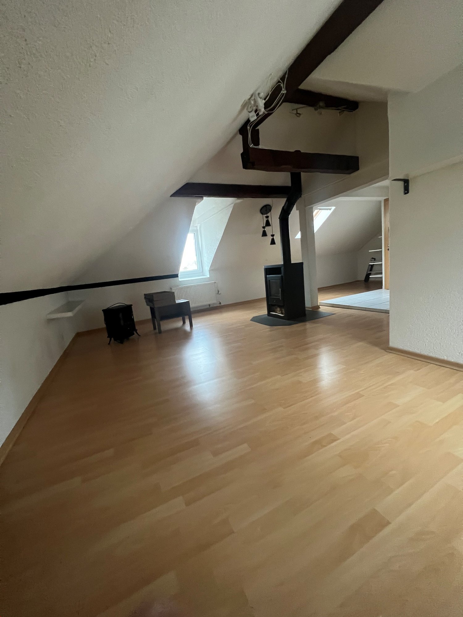 appartement 1 pièce
