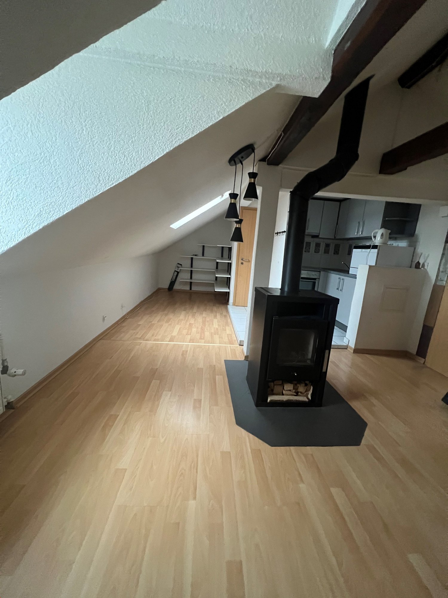 appartement 1 pièce