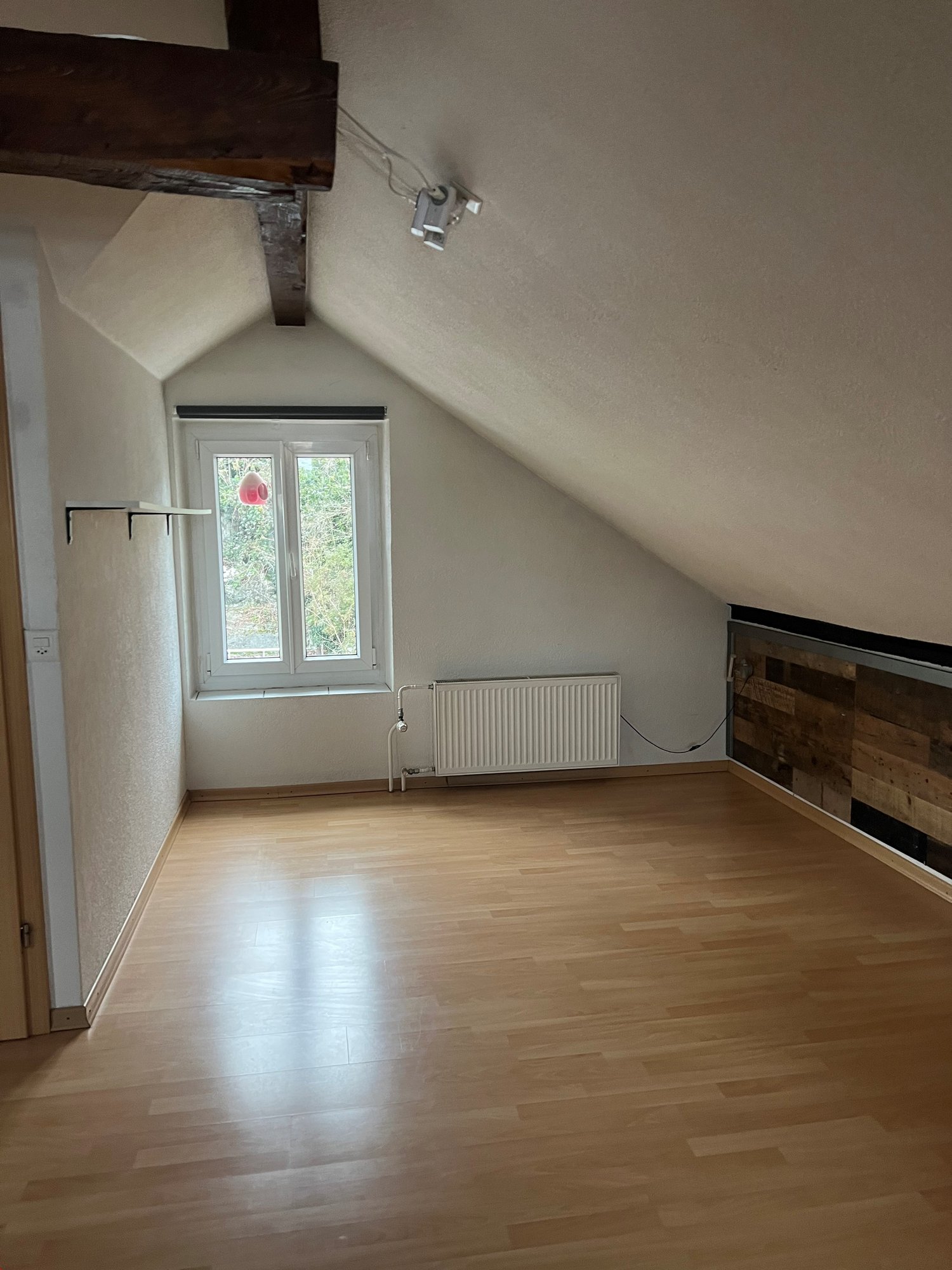 appartement 1 pièce