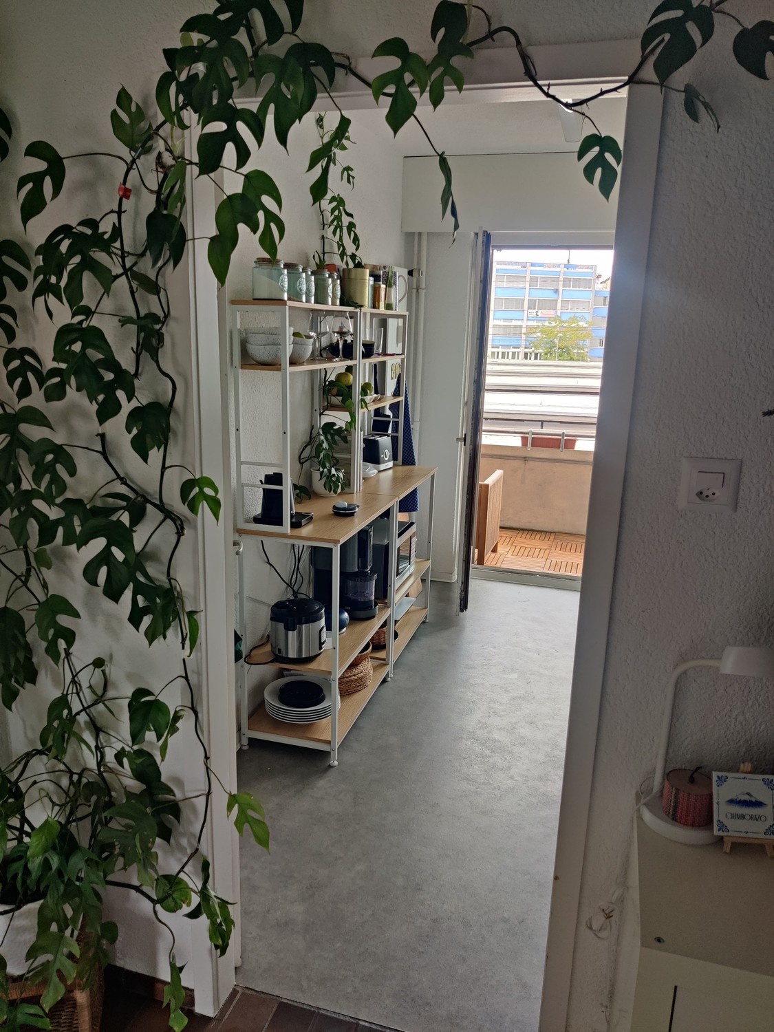 2 ½ Zimmer Wohnung, Foto 5 von 9