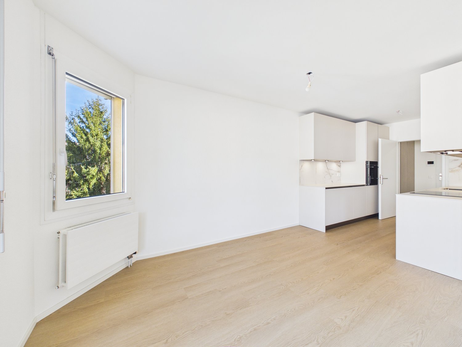 2 ½ Zimmer Dachwohnung