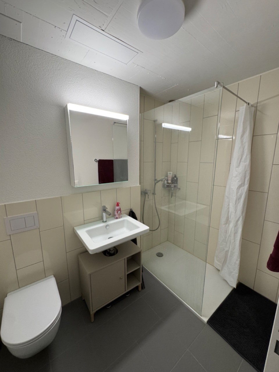 4 ½ rooms apartment, Foto 5 von 8