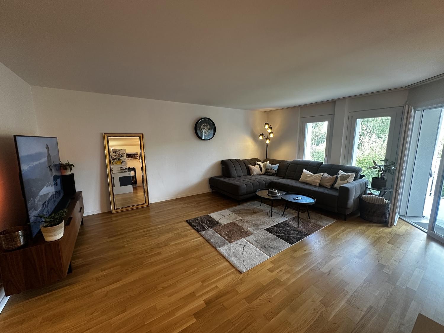 Appartamento di 3 ½ locali