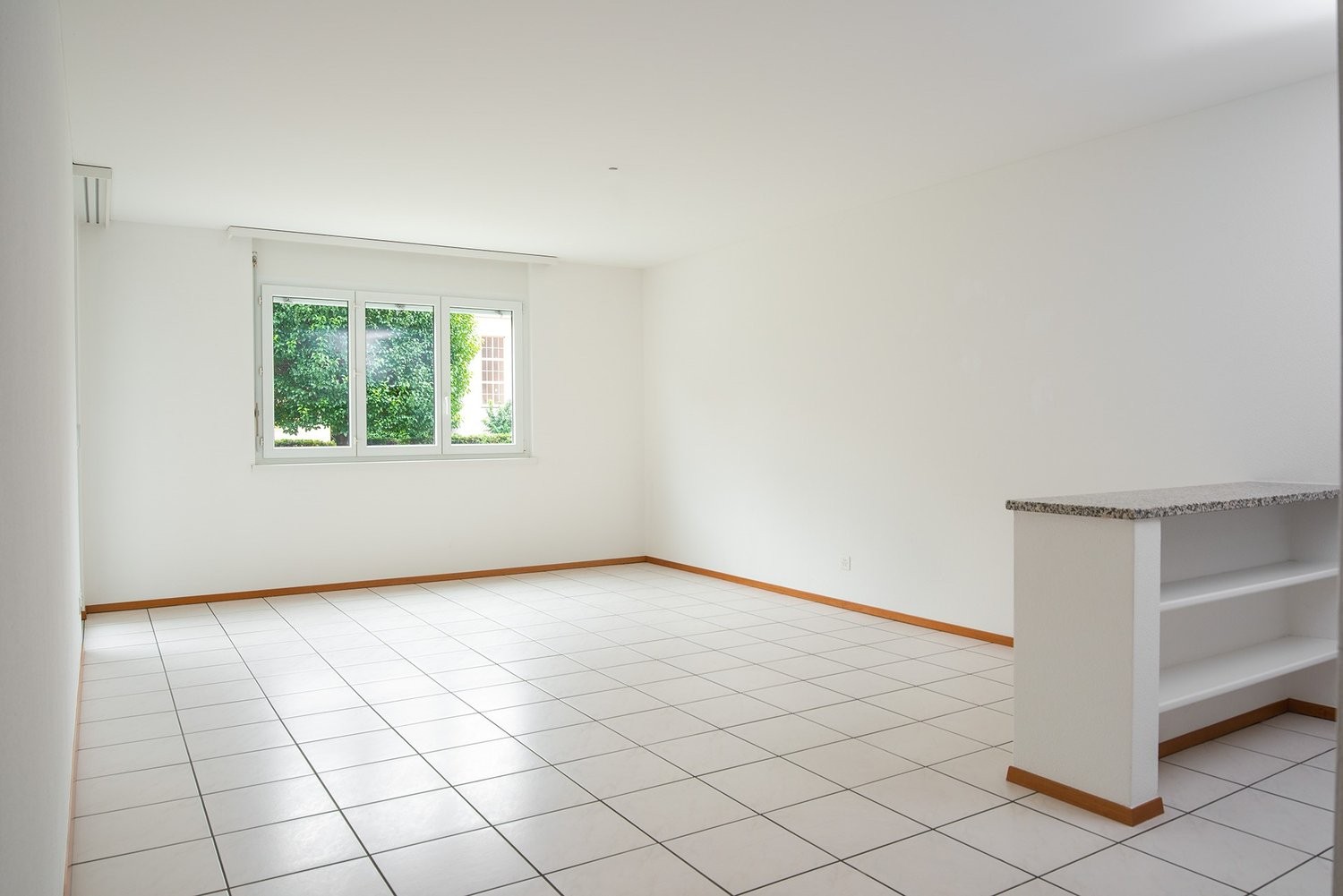 2 ½ rooms apartment (3)