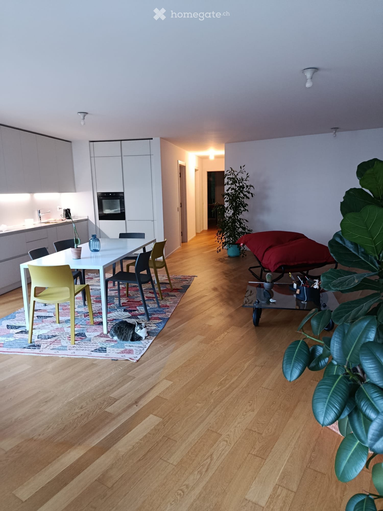 3 ½ Zimmer Wohnung, Foto 1 von 5