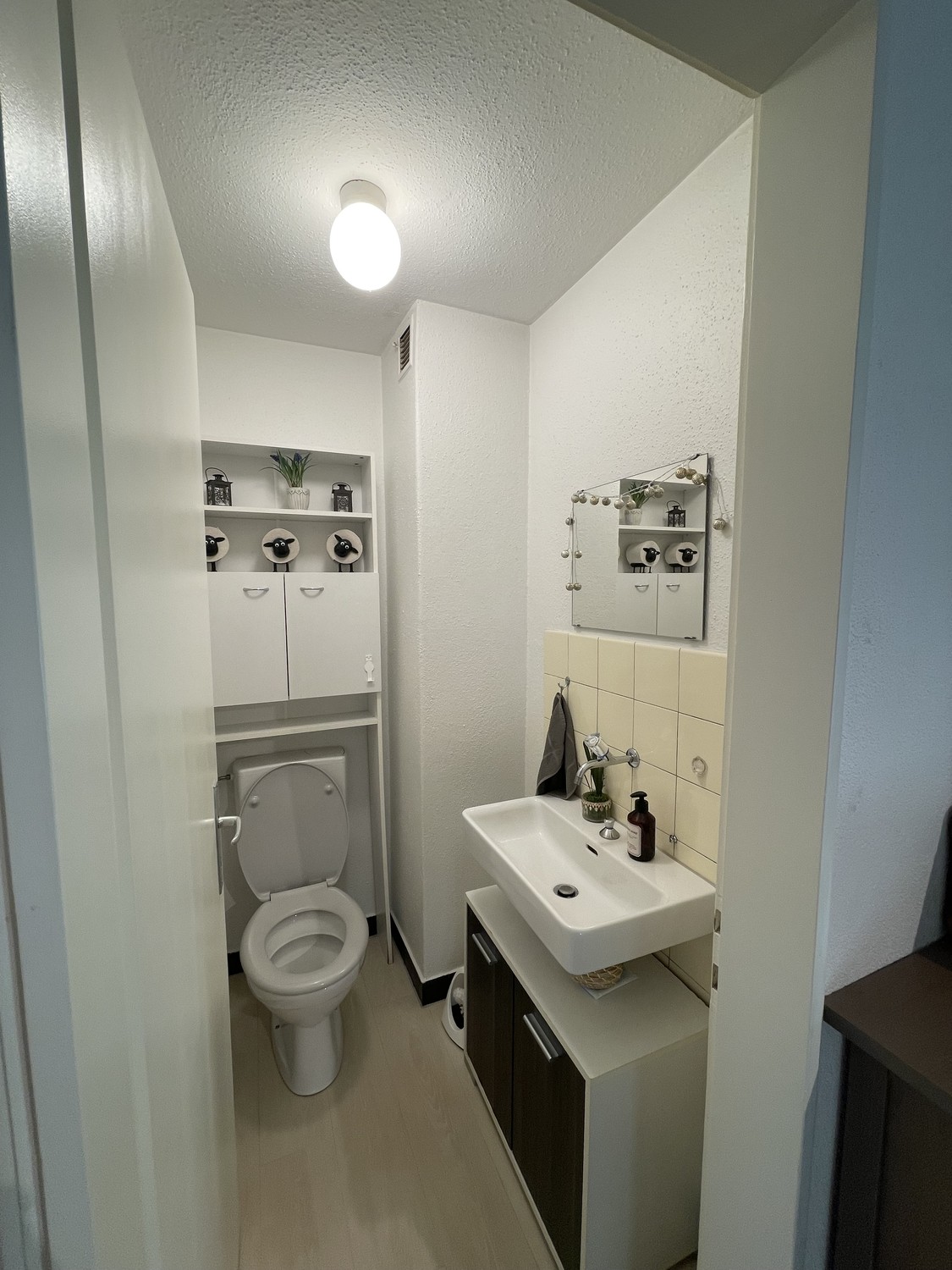 Room in a shared flat