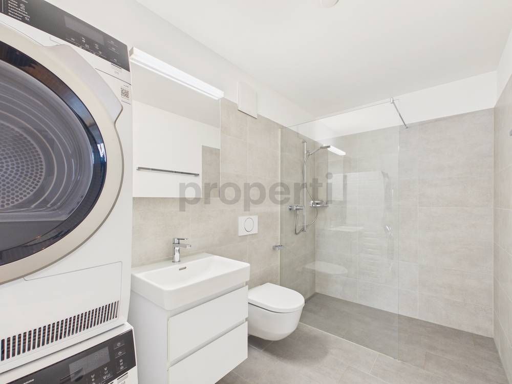 Appartement en attique de 2 ½ pièces