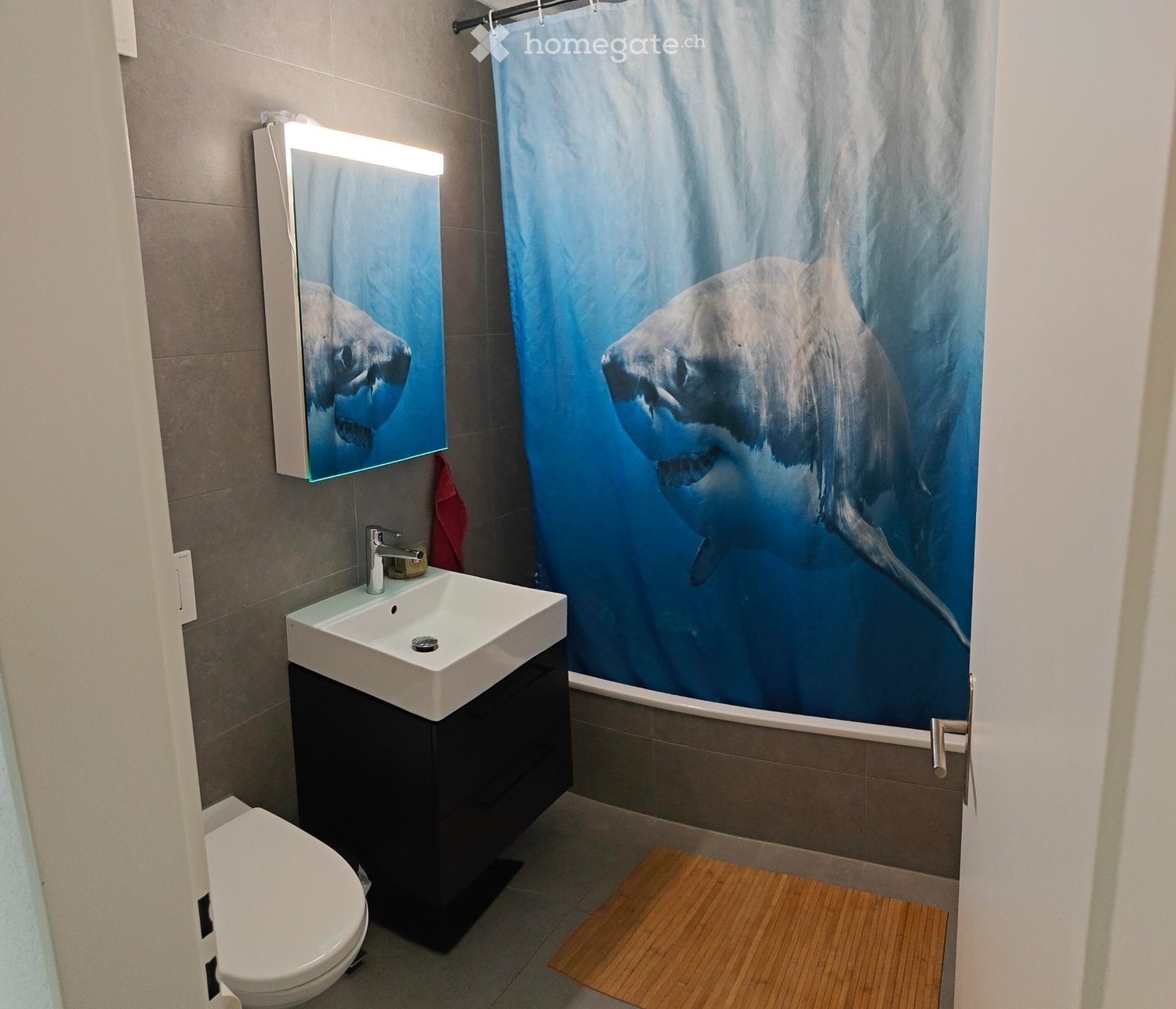 Appartement de 3 ½ pièces