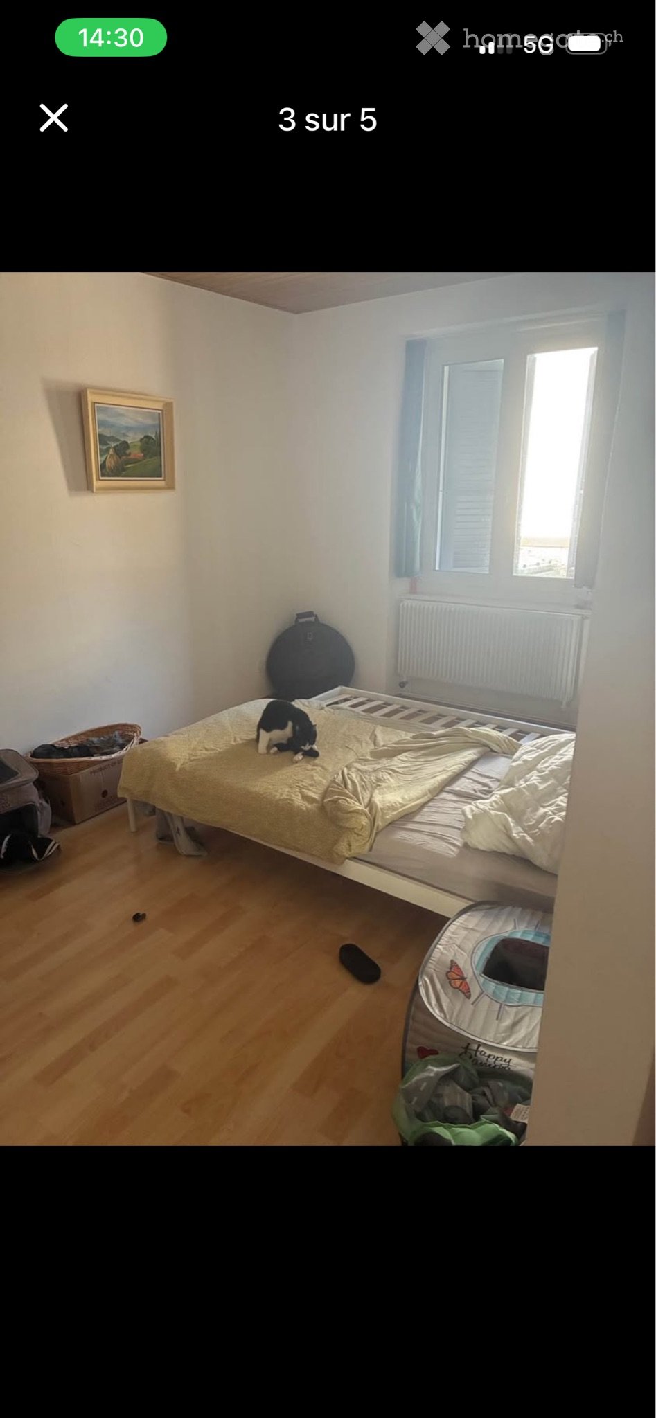 1 room apartment