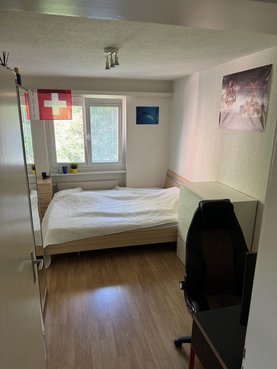 Room in a shared flat