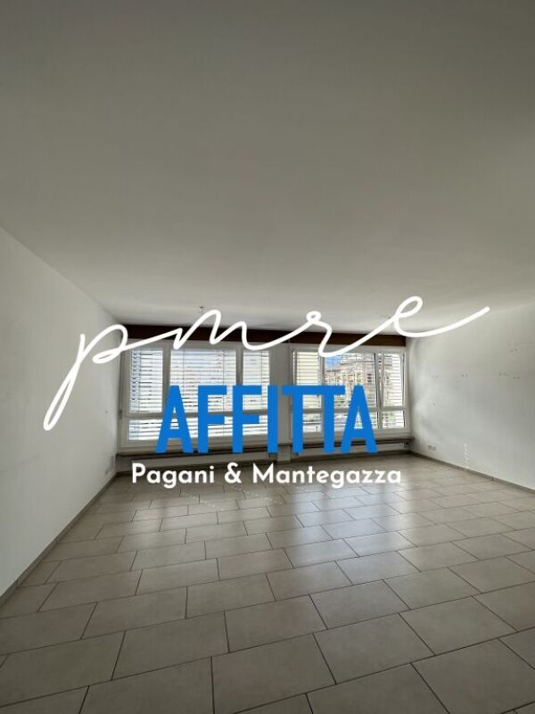 1 ½ pièces appartement