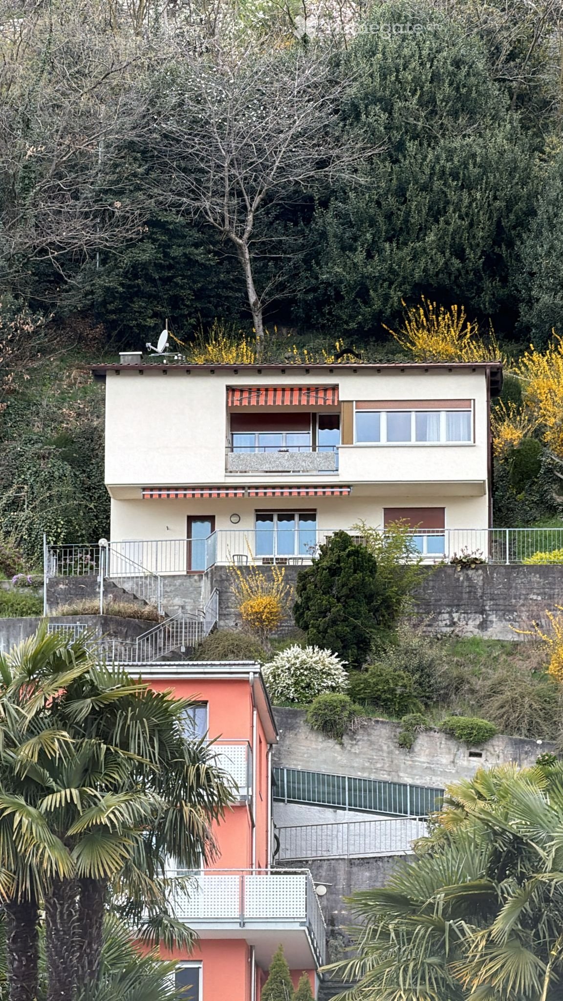 2-Zimmer-Wohnung