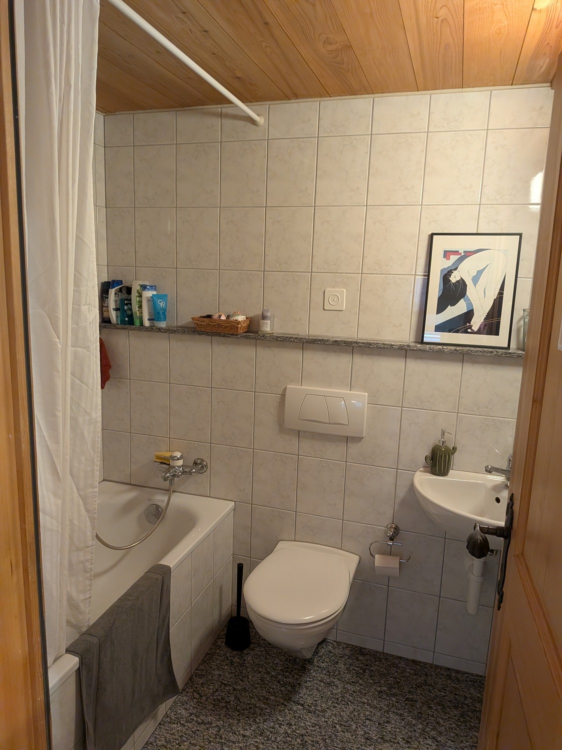 2 ½ rooms apartment, Foto 9 von 9