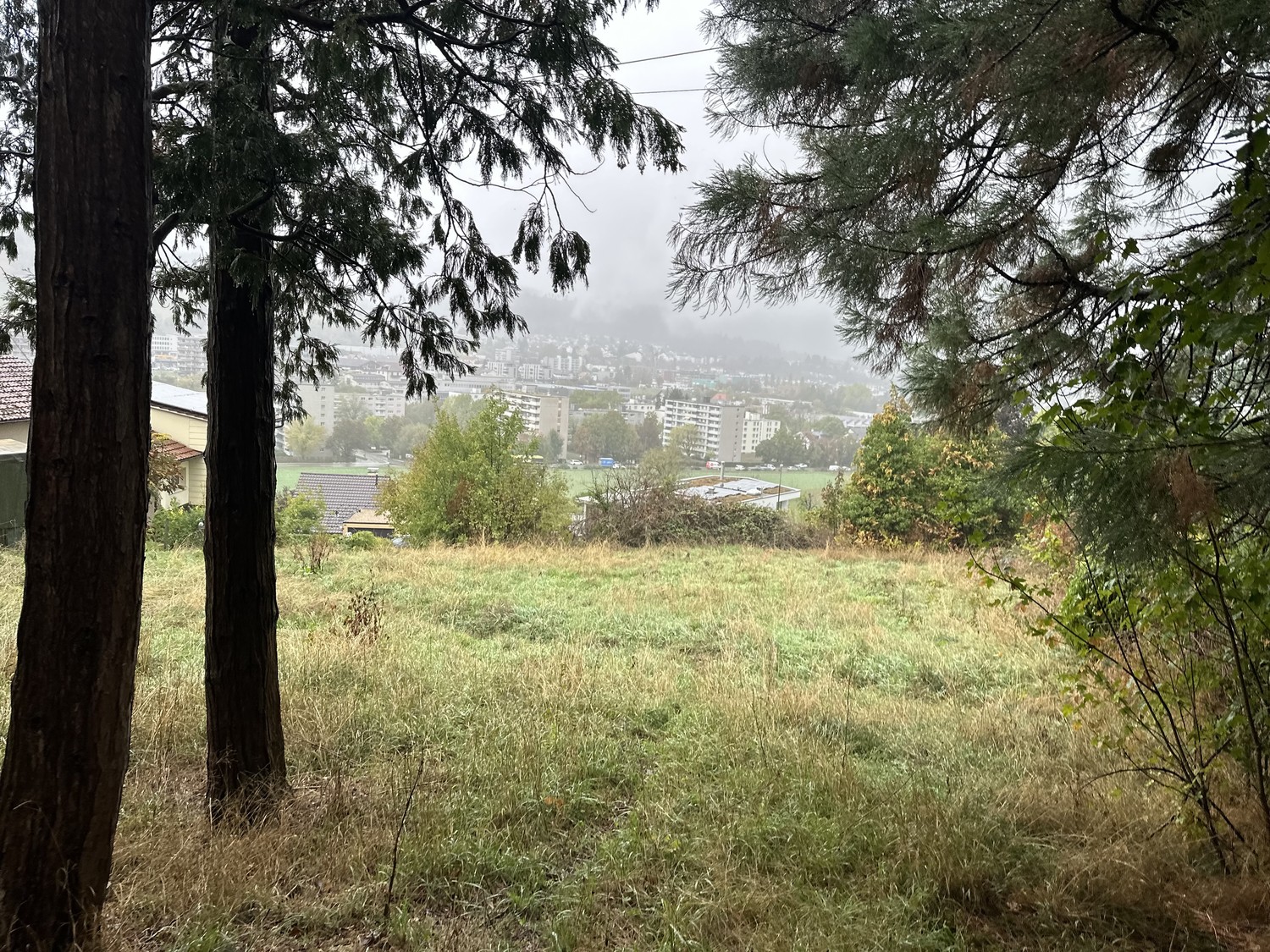 2010m² building land