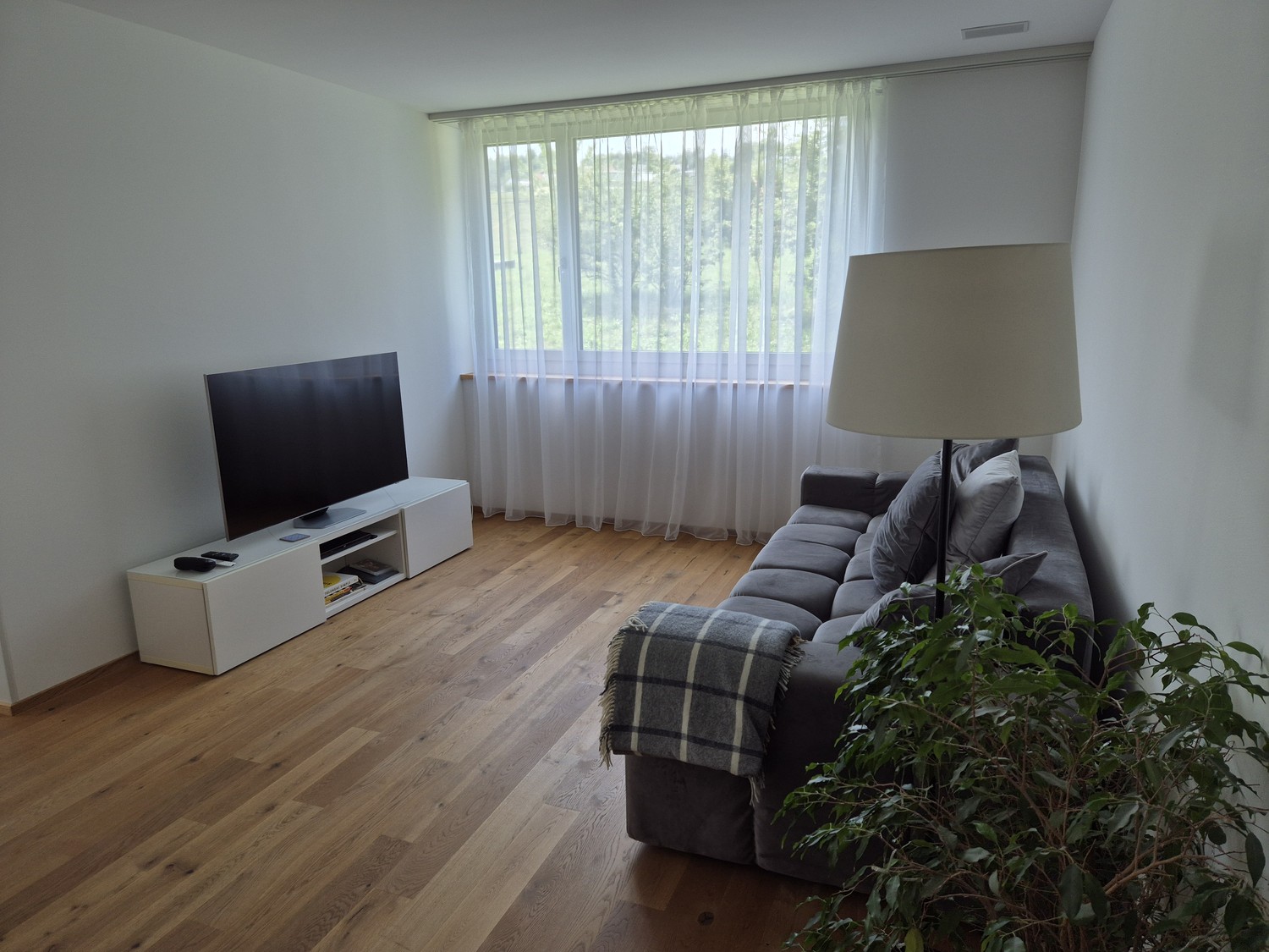 Room in a shared flat