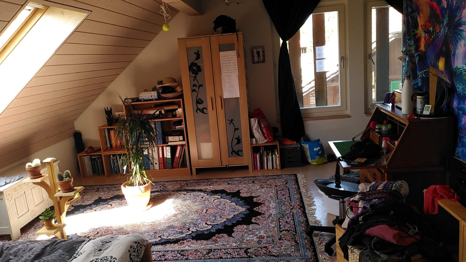 Room in a shared flat