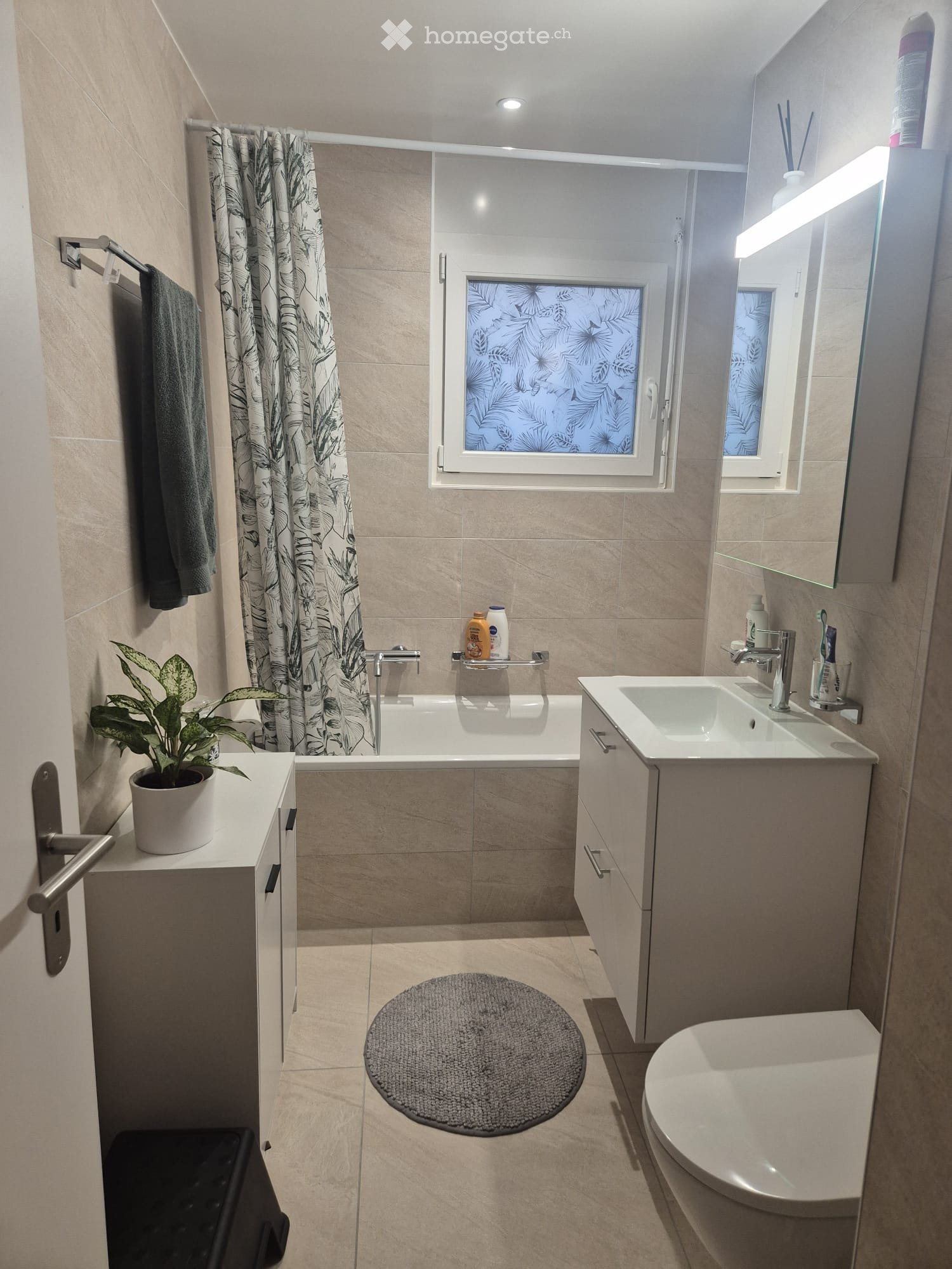 3 ½ Zimmer Wohnung