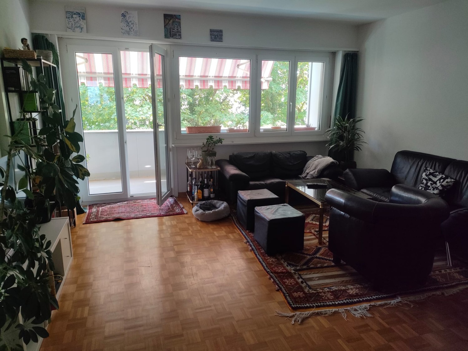 Room in a shared flat