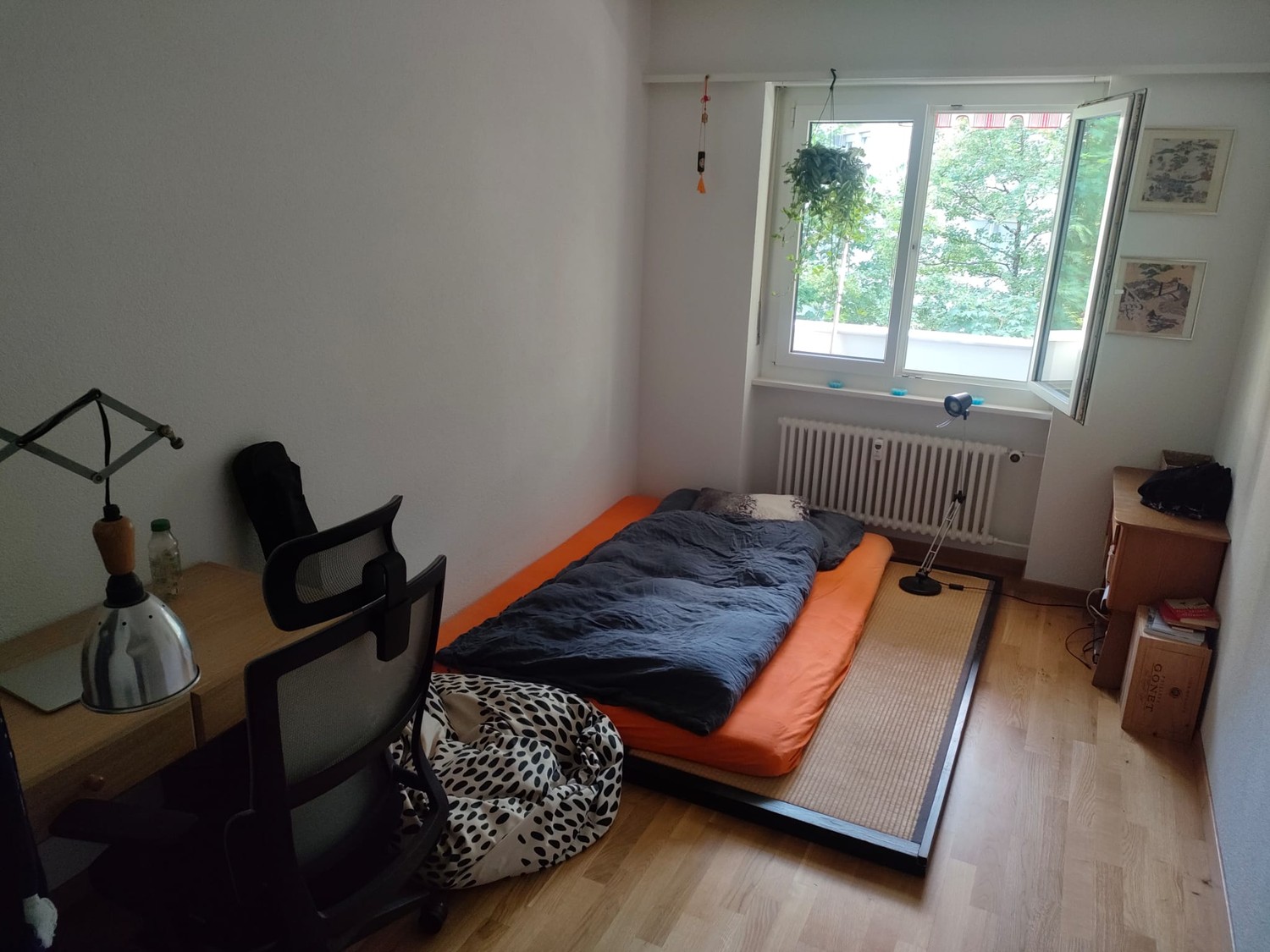 Room in a shared flat
