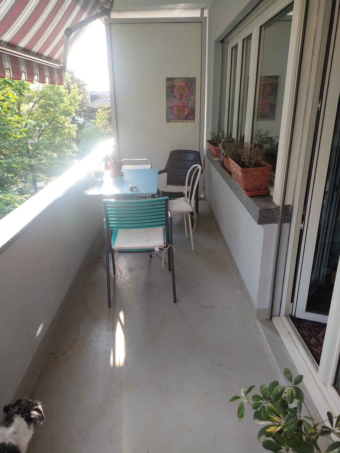 Room in a shared flat