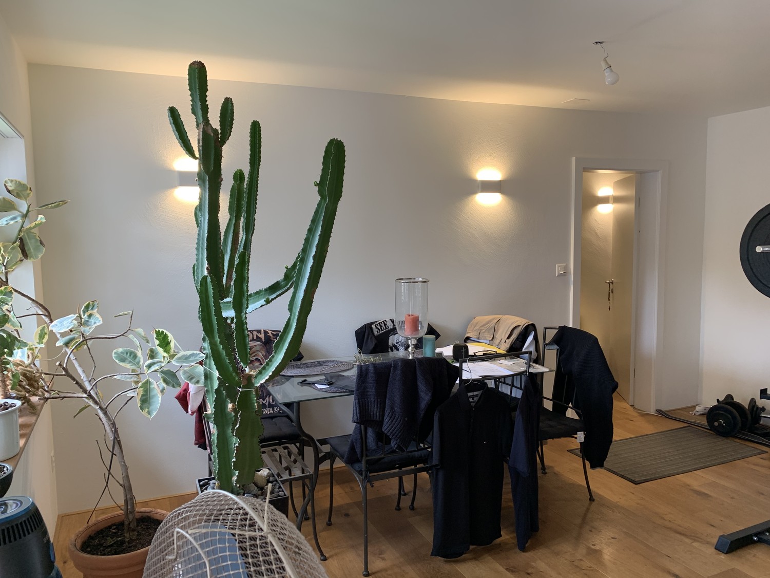 Chambre dans un appartement partagé