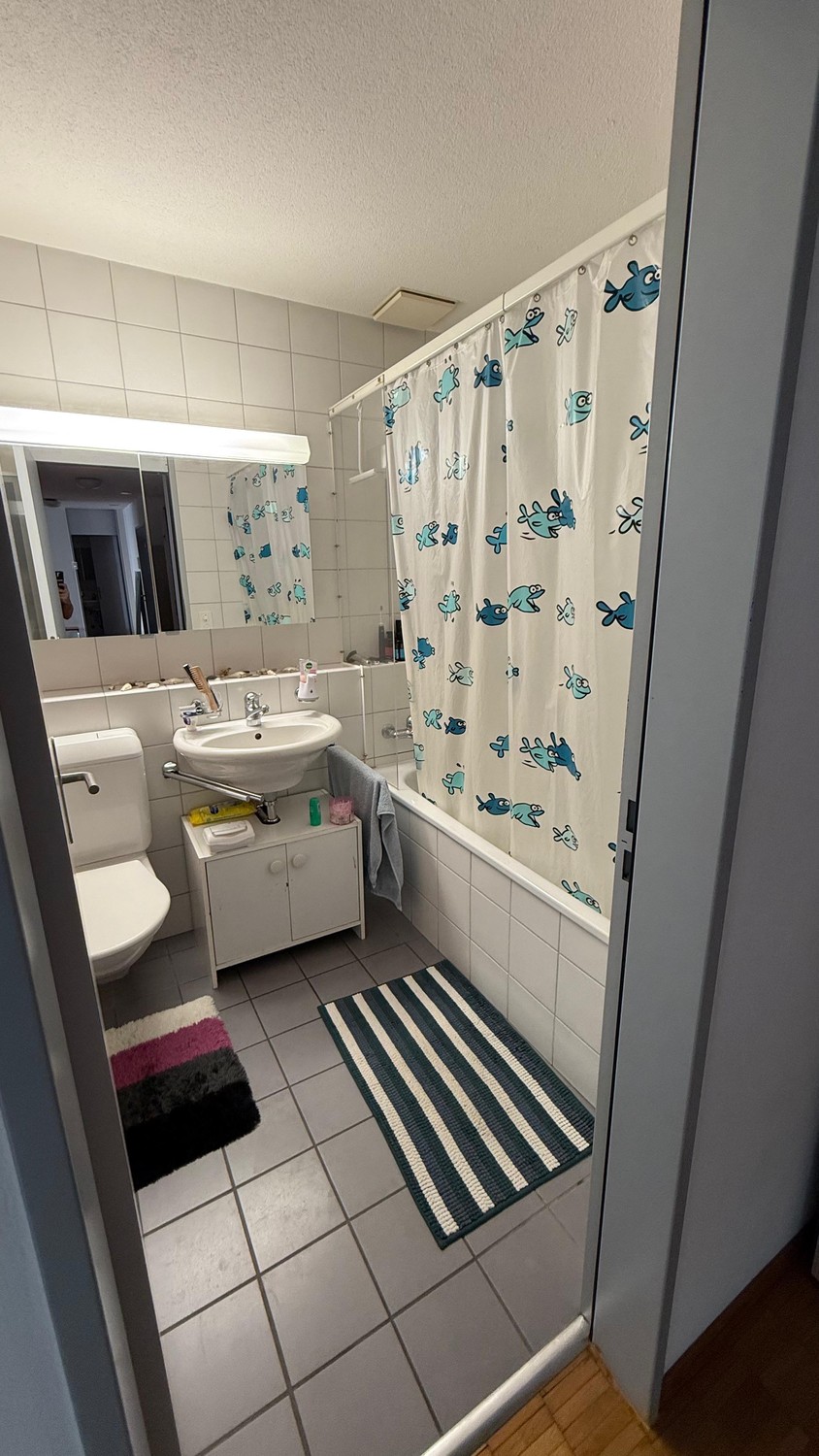 Appartamento di 3 ½ locali, foto 8 di 10