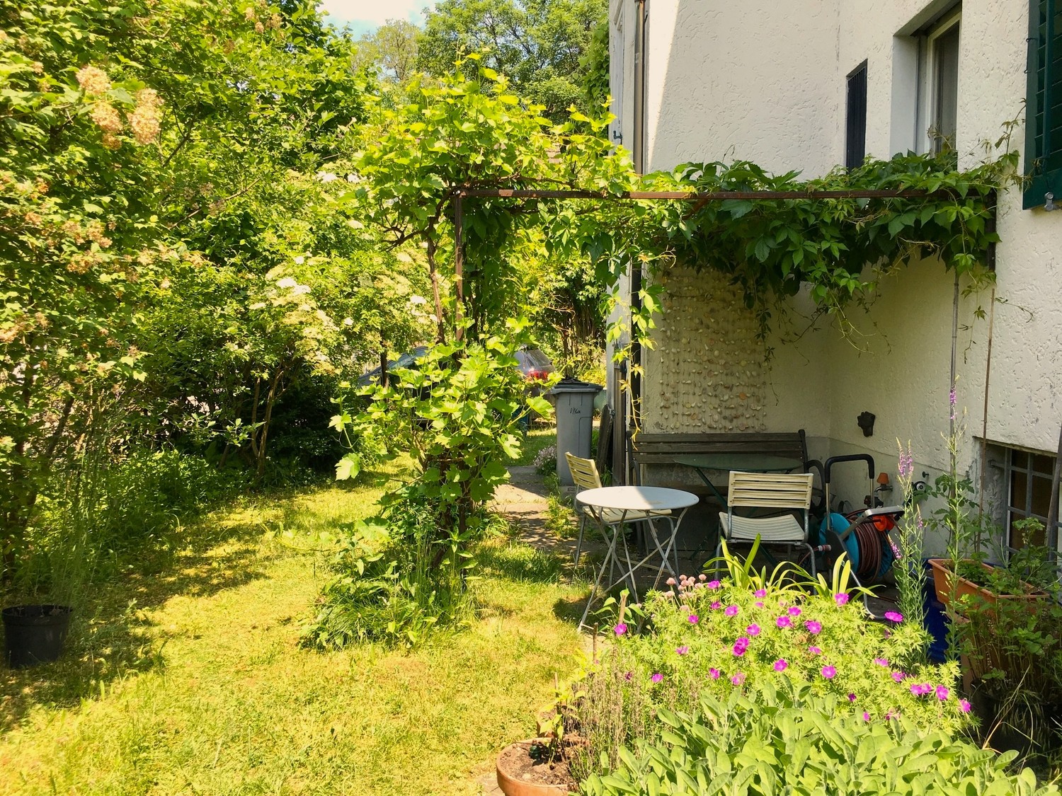 2 ½ rooms apartment, Foto 6 von 7