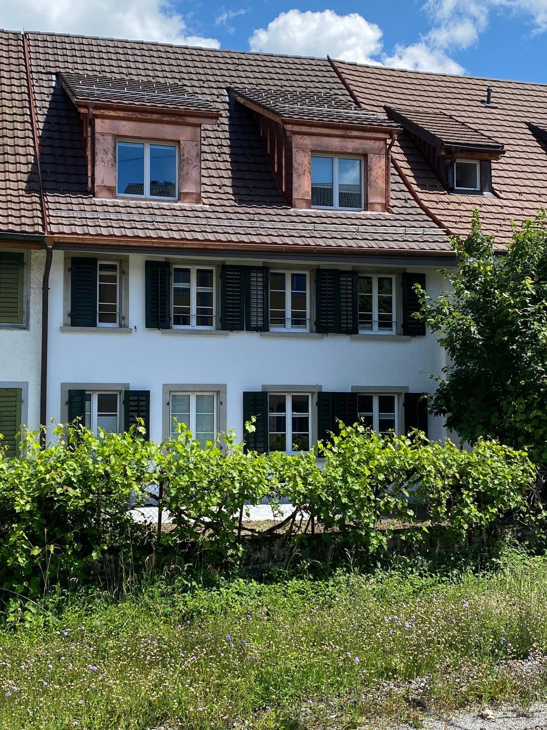 3 rooms apartment, Foto 1 von 8