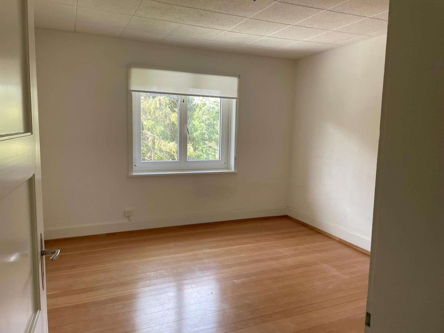 2 rooms apartment