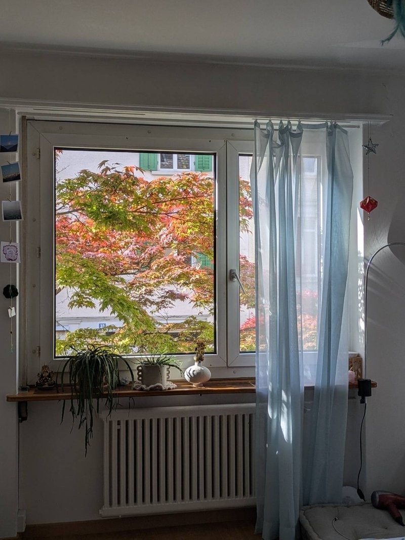 Zimmer in einer Wohngemeinschaft, Foto 5 von 10