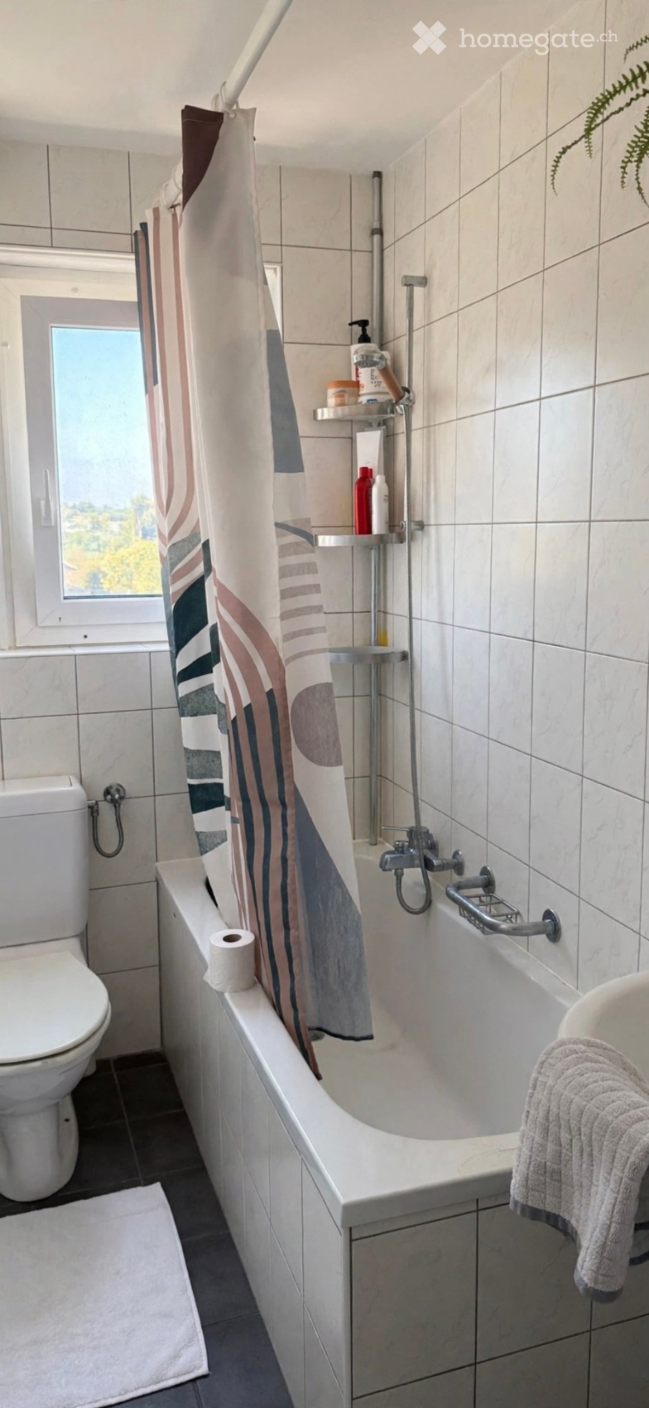 2 ½ Zimmer Wohnung