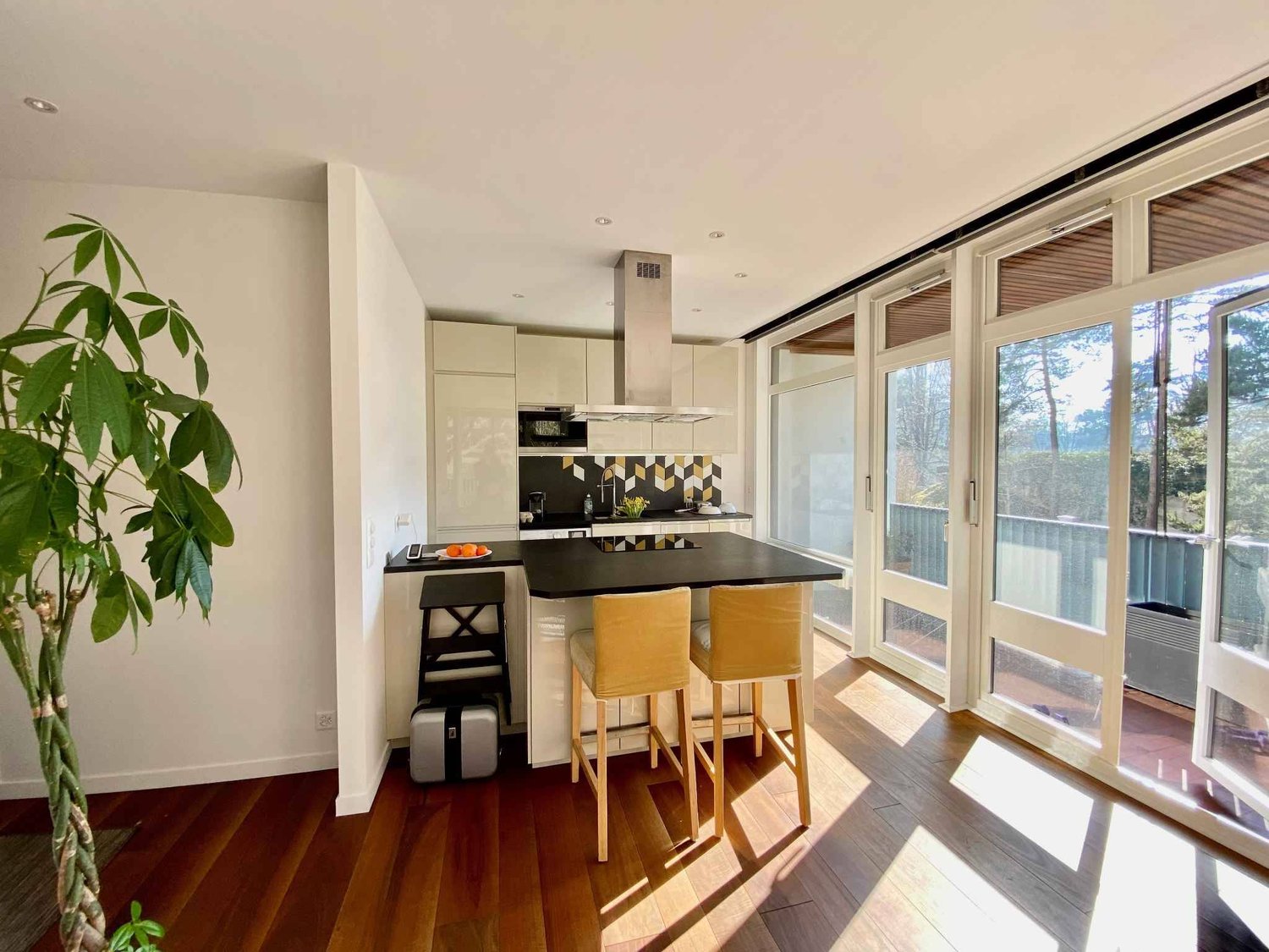 1 ½ rooms furnished flat (4)