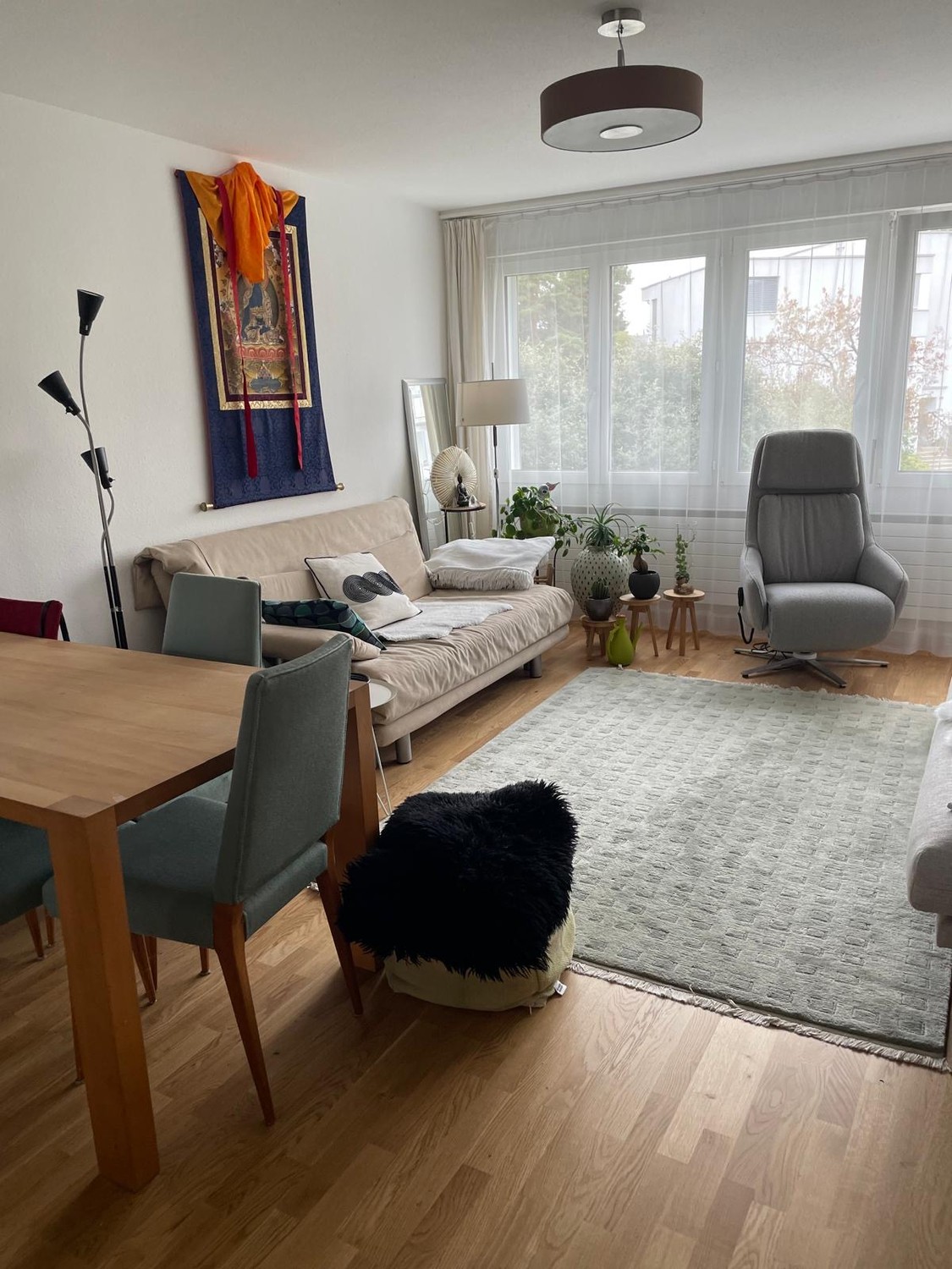Room in a shared flat