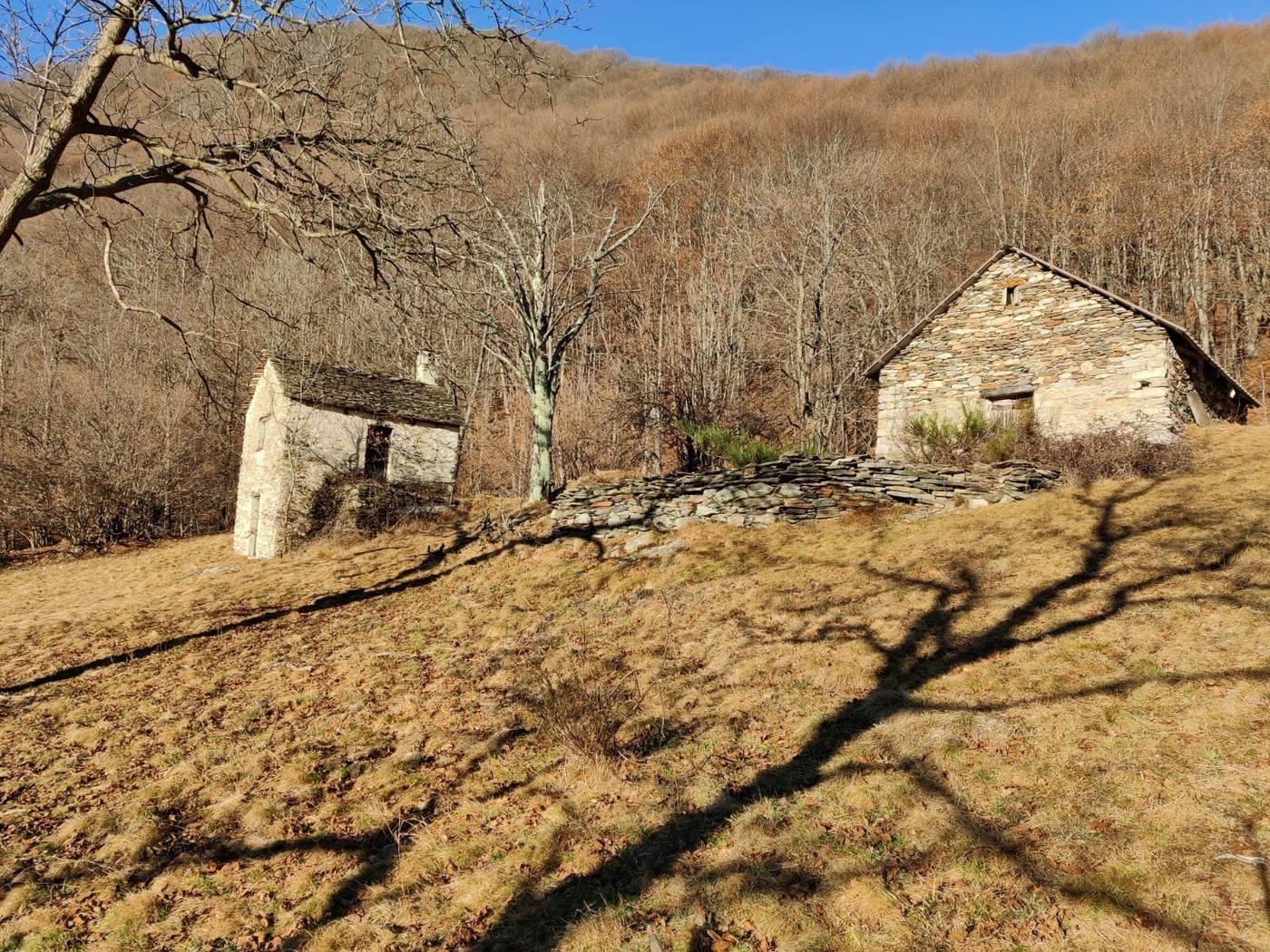 casa singola di 2 locali