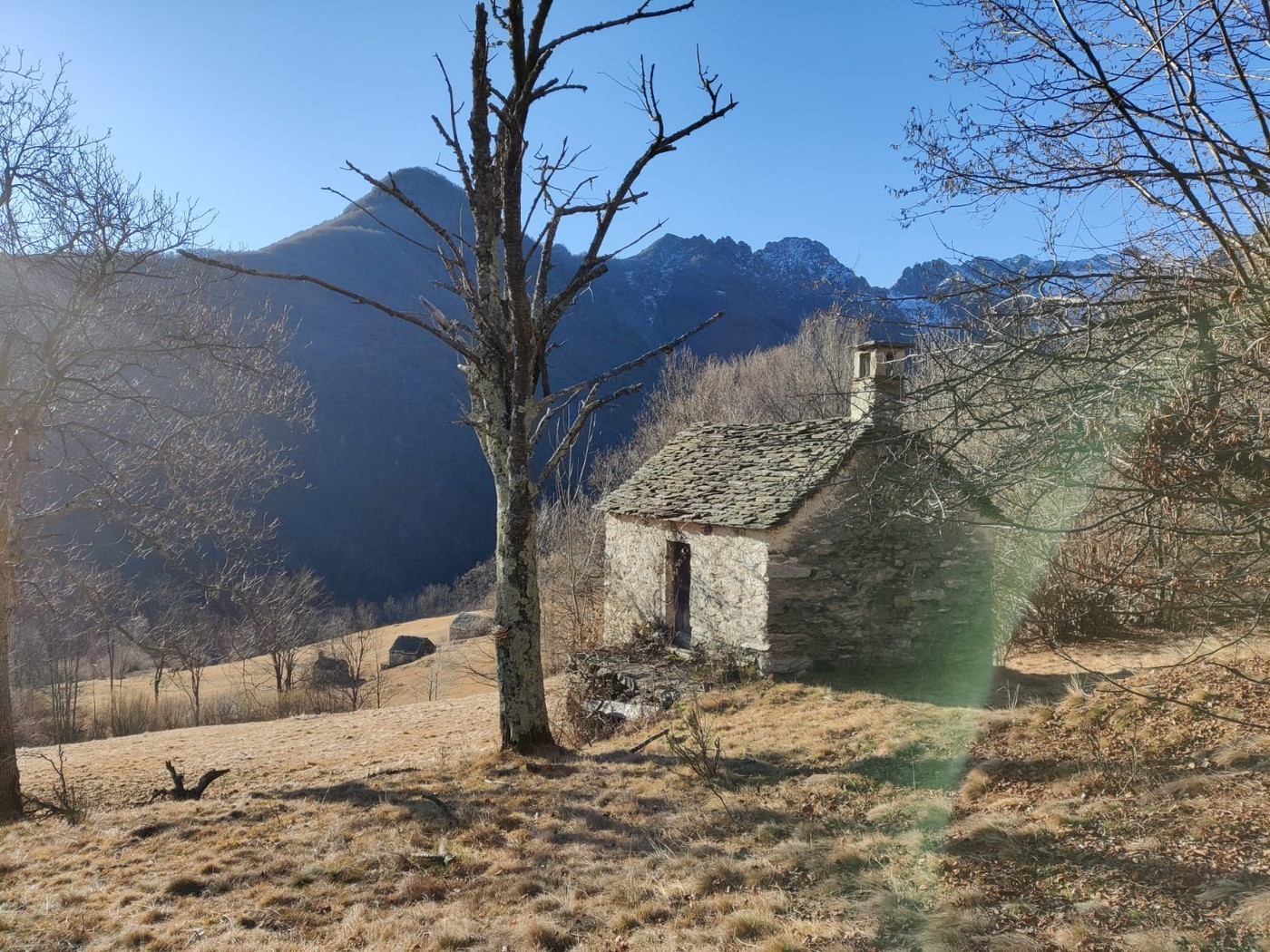 casa singola di 2 locali