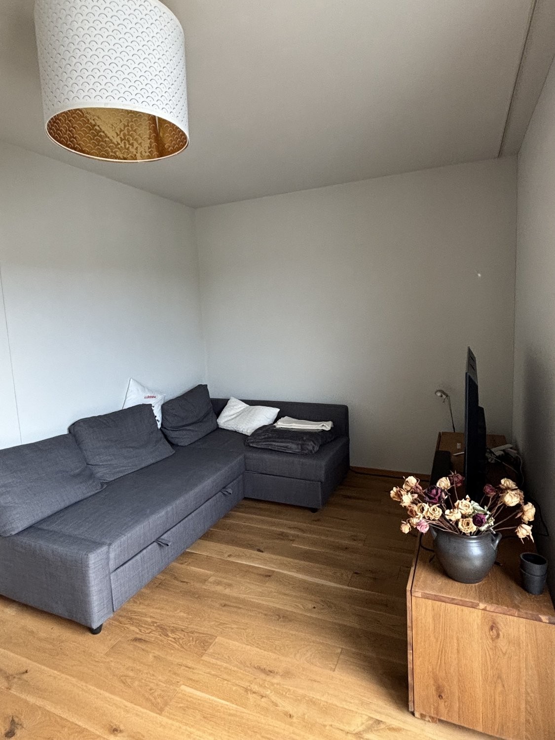 appartamento arredato di 3 ½ locali, foto 3 di 9