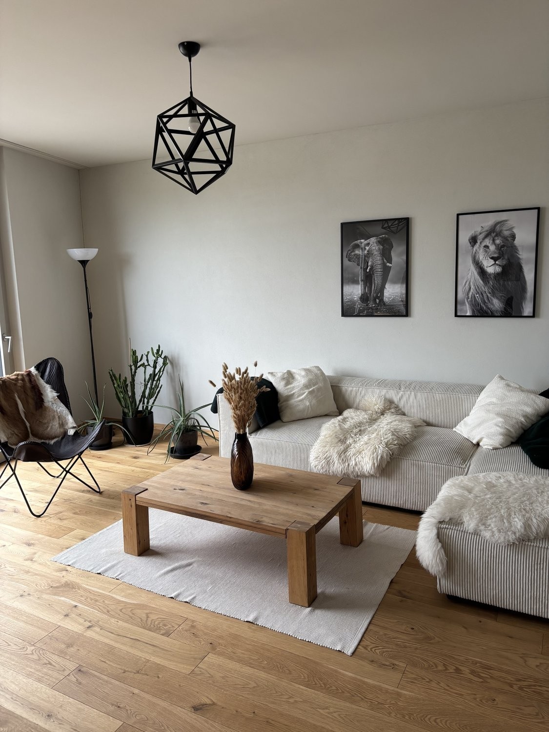 appartamento arredato di 3 ½ locali, foto 1 di 9
