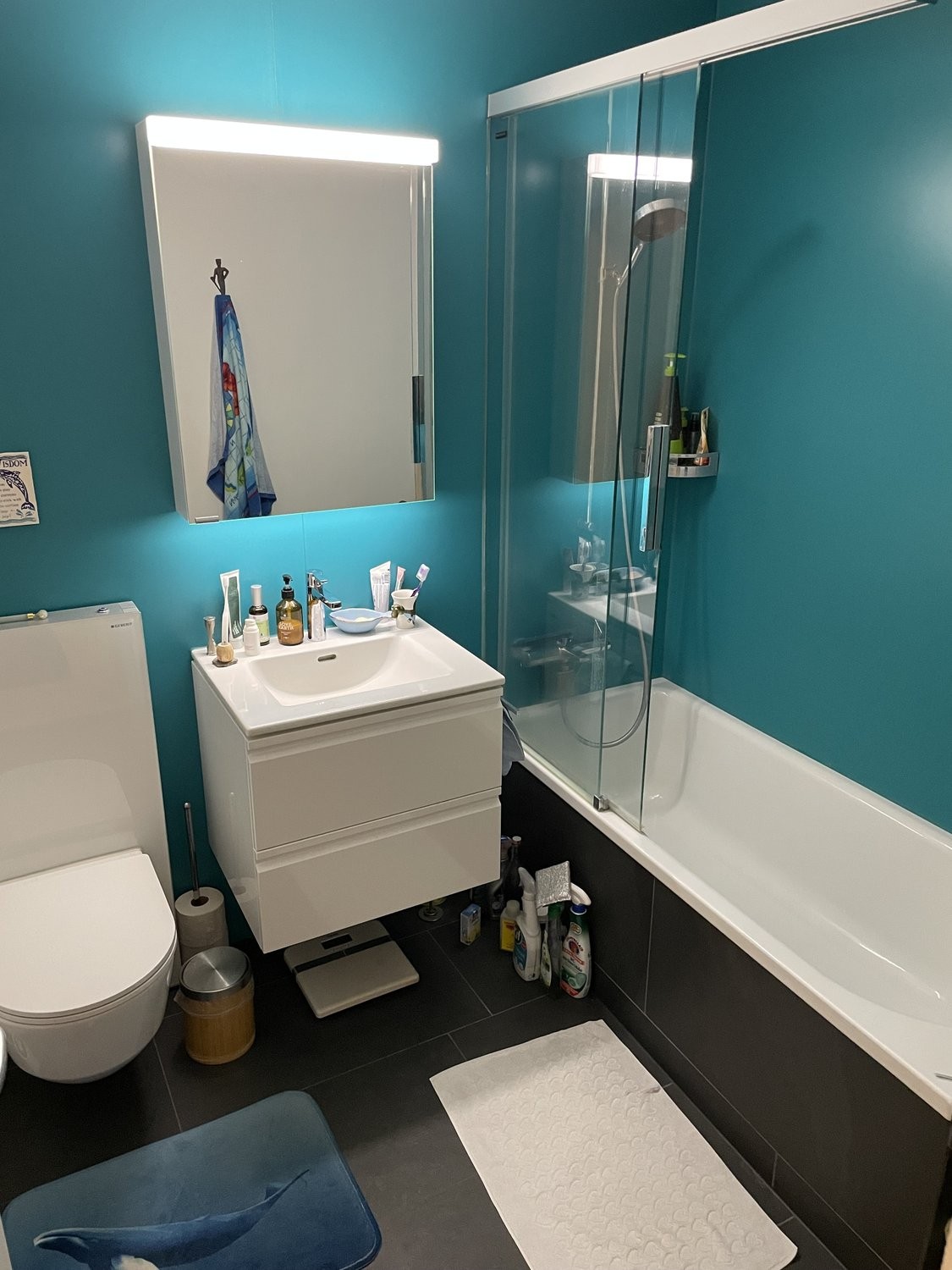 2 ½ rooms furnished flat