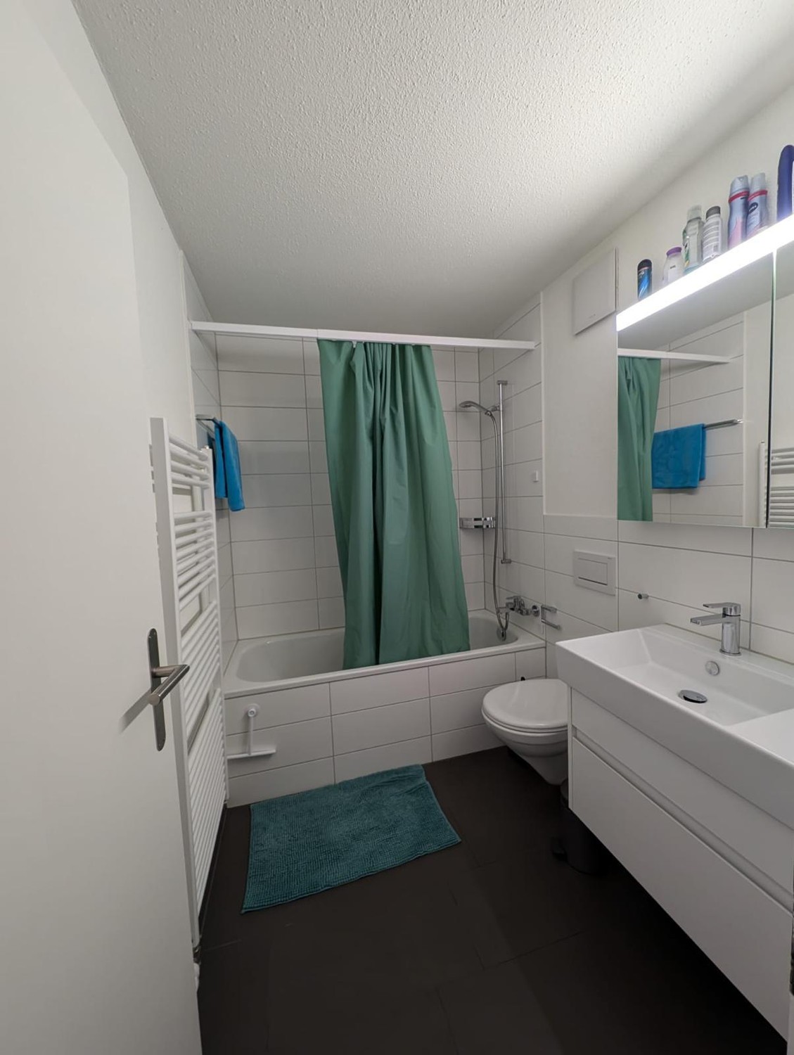 Appartement de 3 ½ pièces