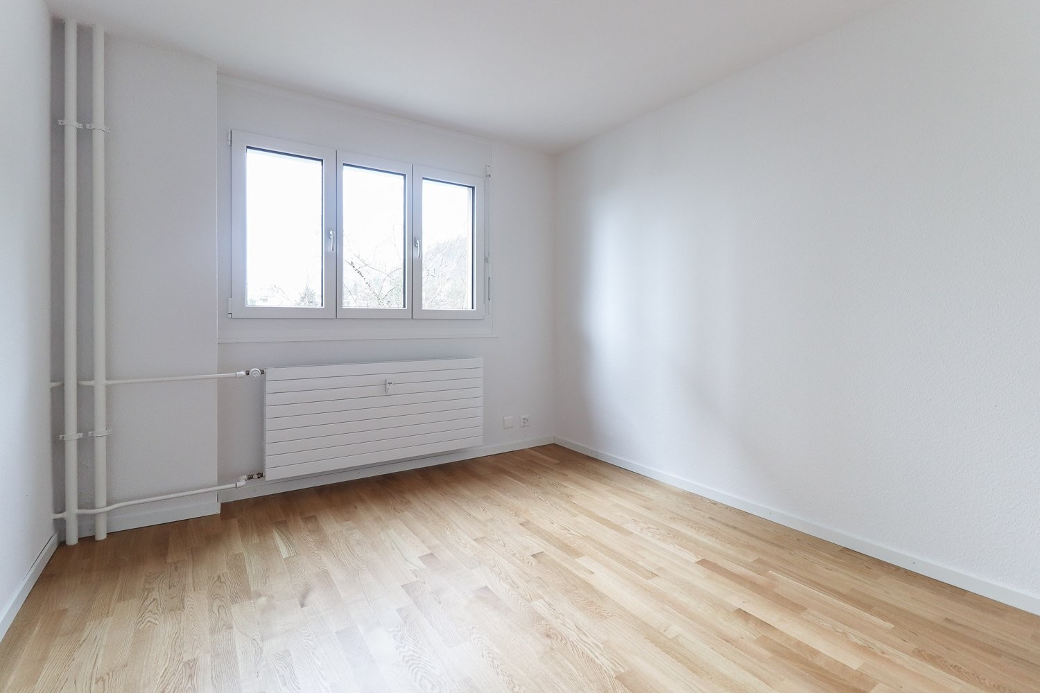 2 rooms apartment, Foto 7 von 7