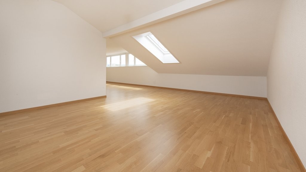 1 room apartment