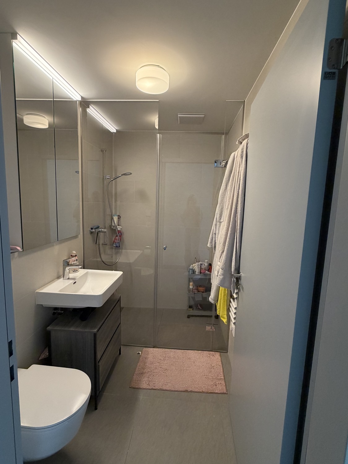 4 ½ rooms apartment