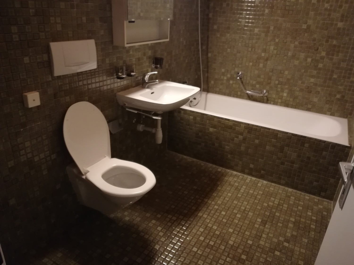 1 ½ Zimmer Wohnung
