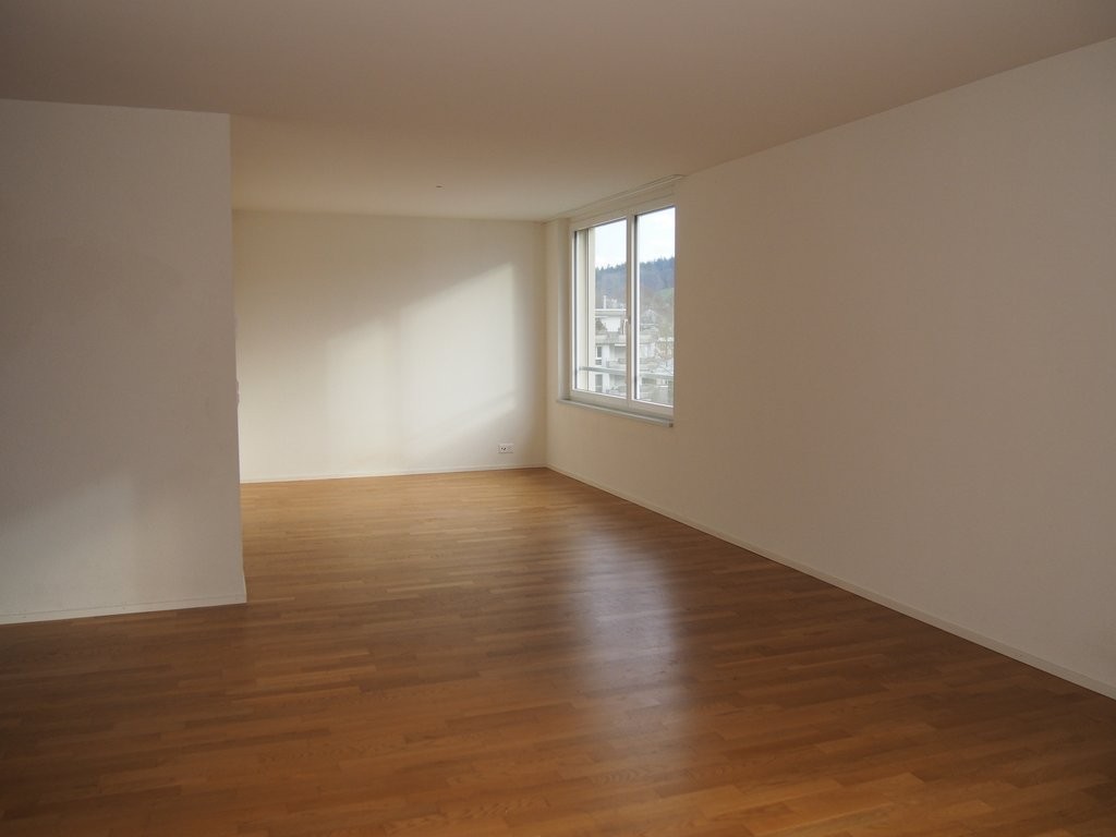 4 ½ rooms apartment (5)