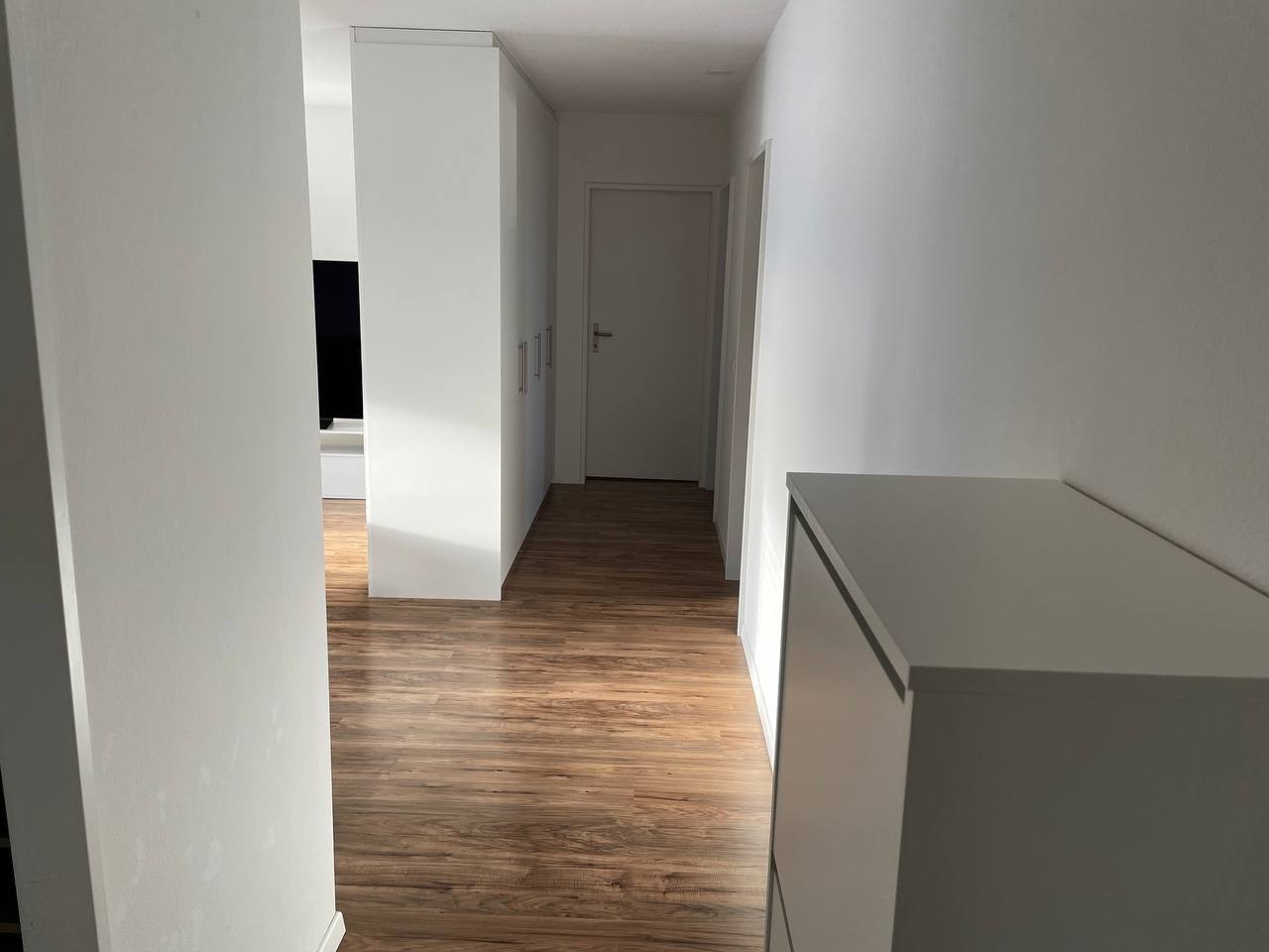 Appartement de 3 ½ pièces