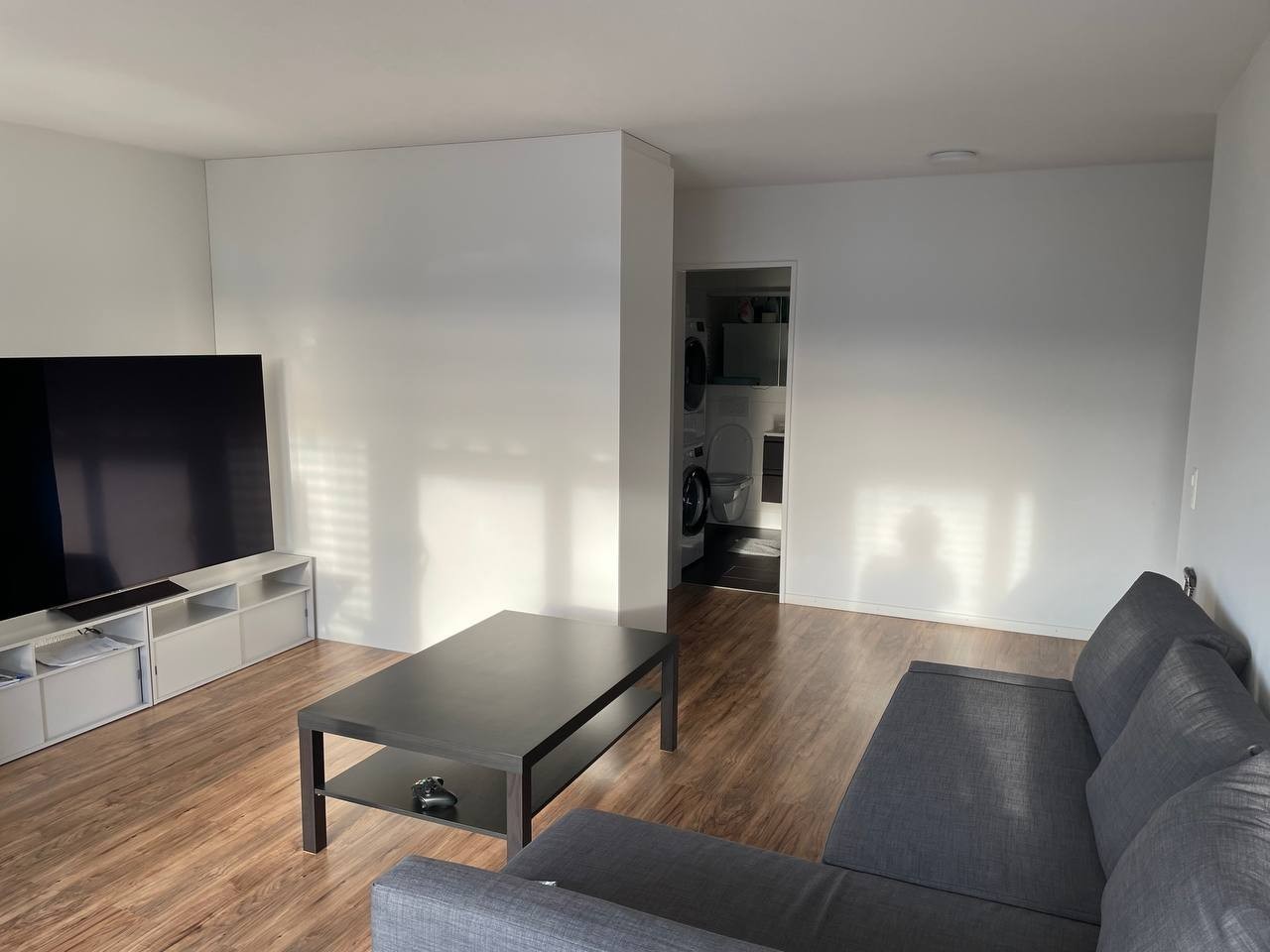 Appartement de 3 ½ pièces