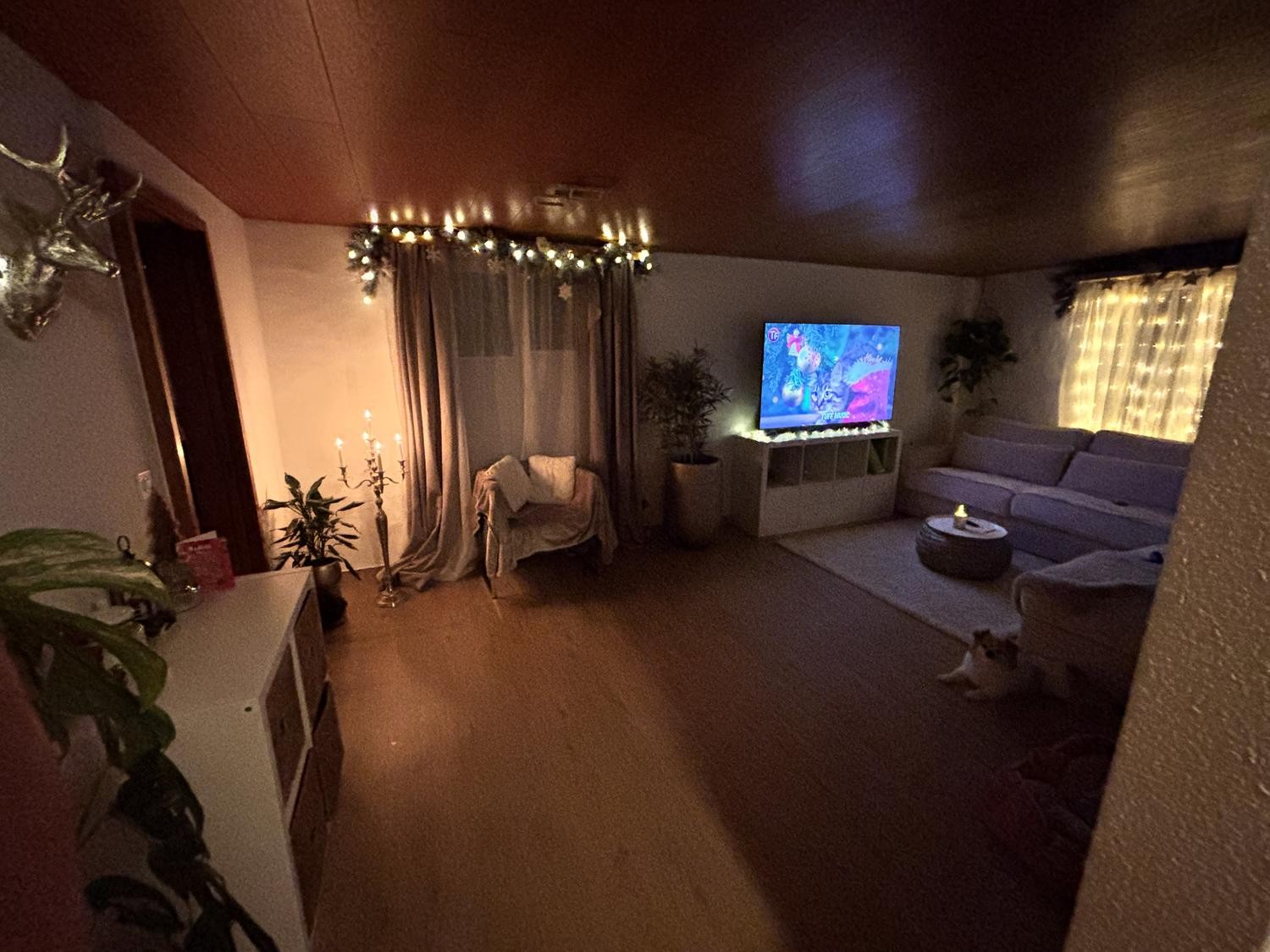 Room in a shared flat
