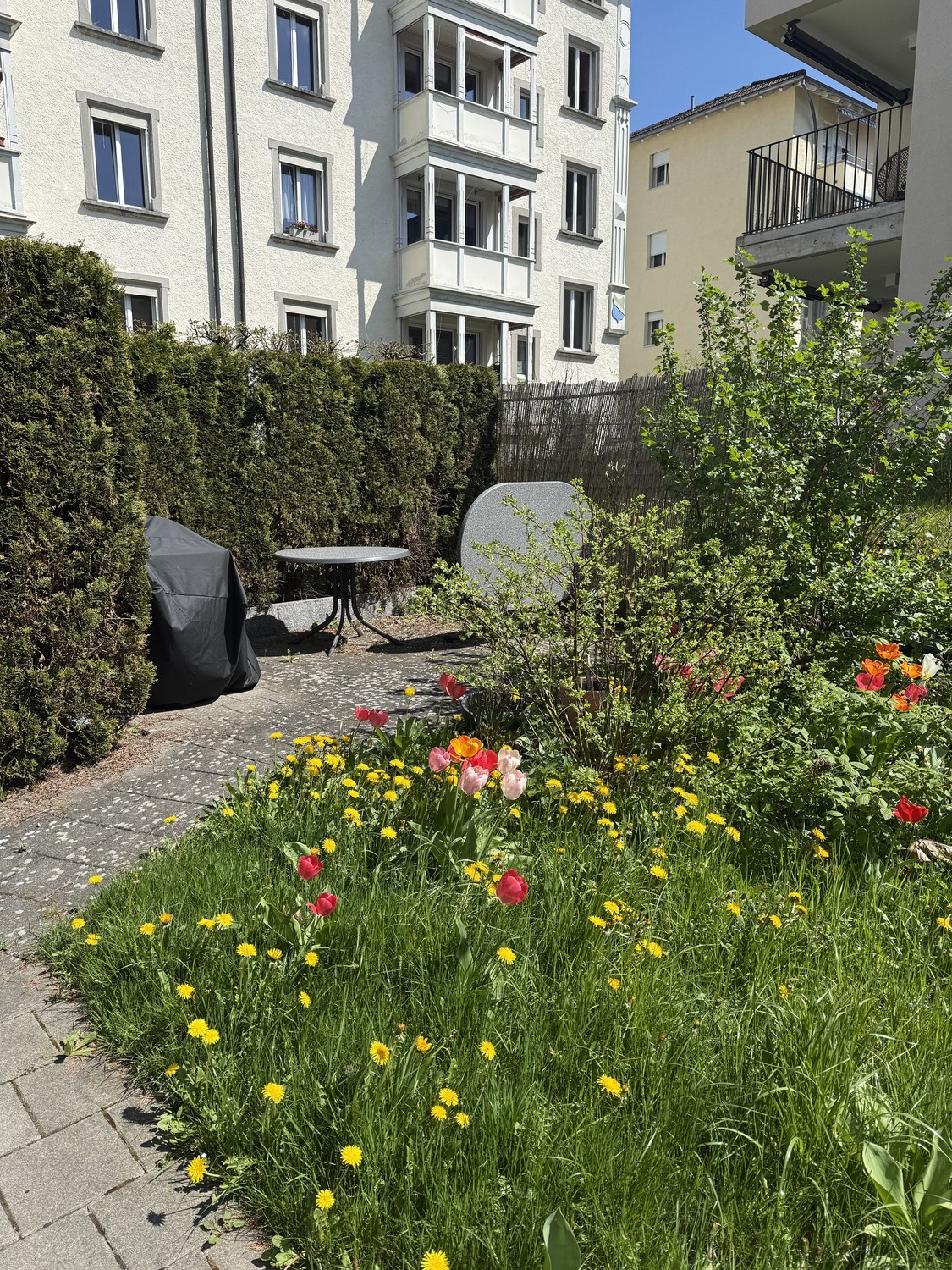 3 ½ rooms apartment